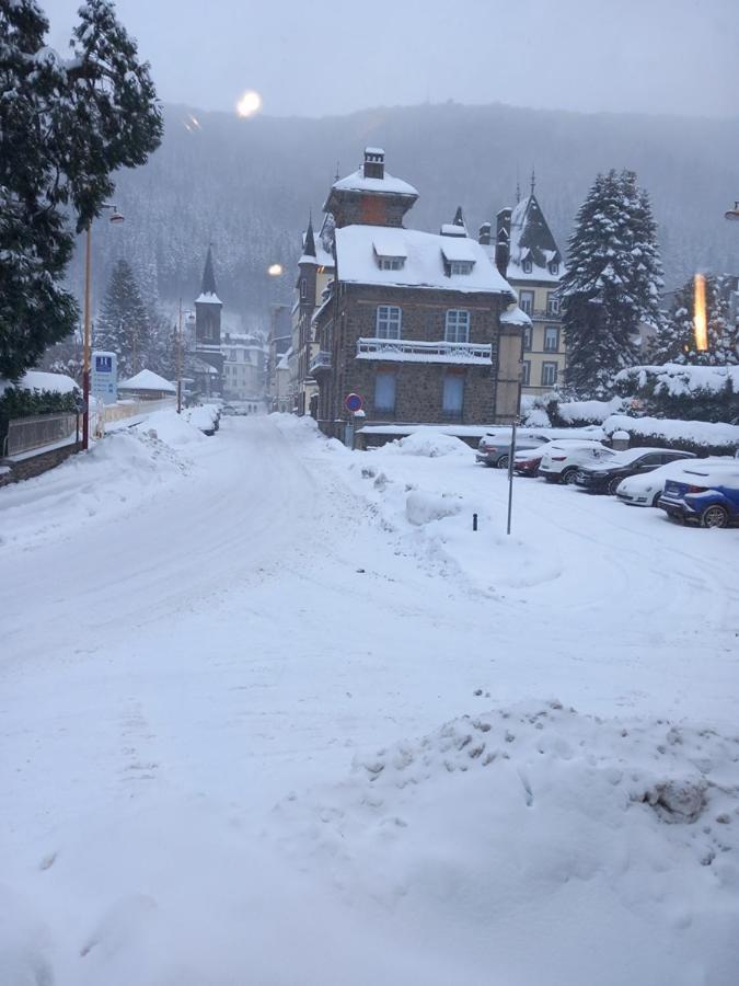 Mont-Dore Villa Des Lutins מראה חיצוני תמונה